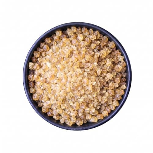 The Spirit Of The Forest Dormant Water Kefir Grains