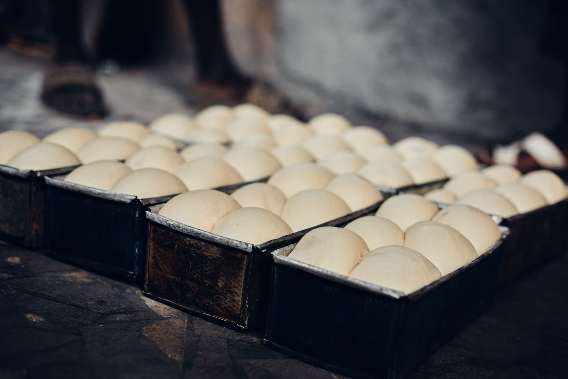 Trays of bread dough rising in a dim kitchen