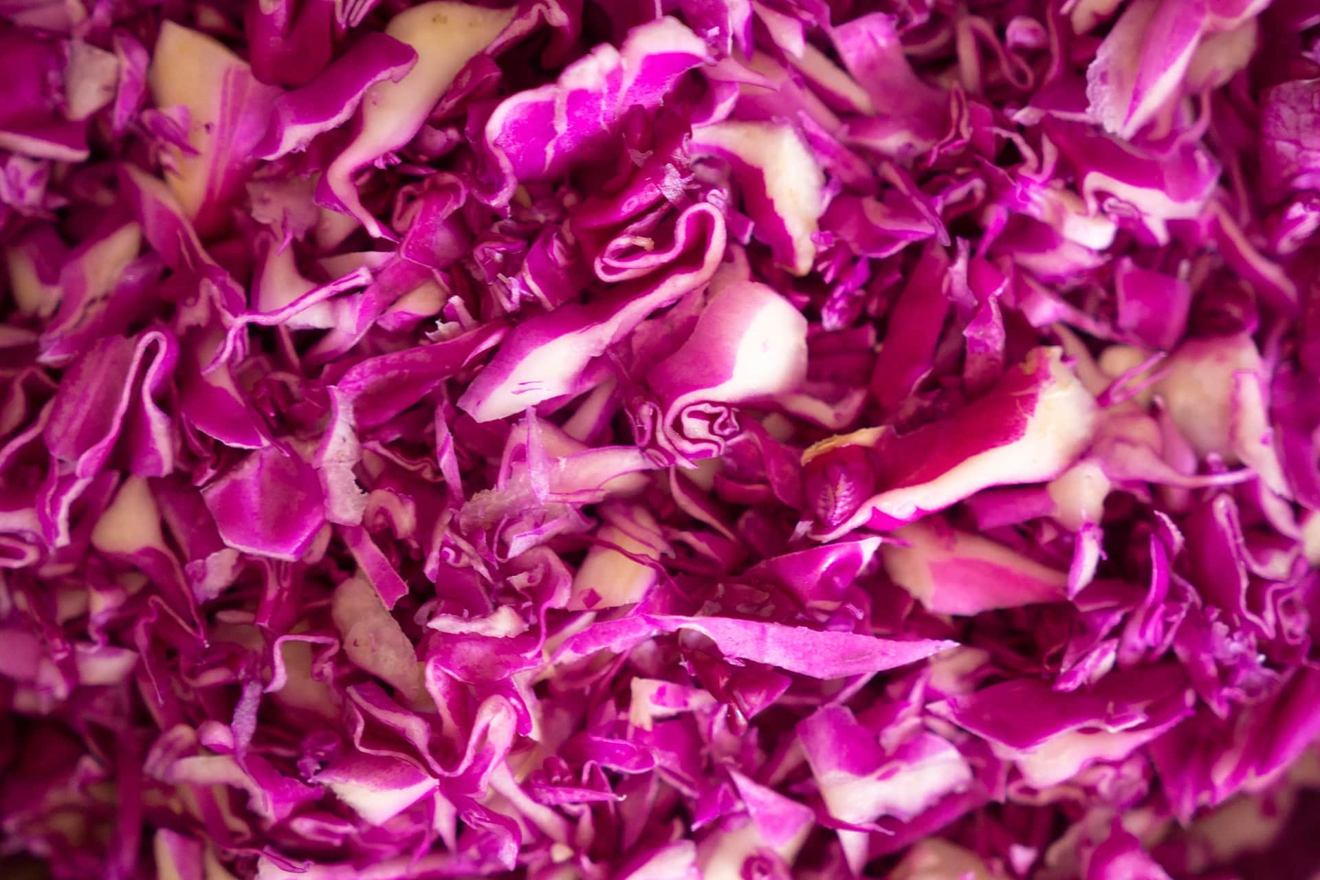A close-up of freshly shredded red cabbage filling the frame