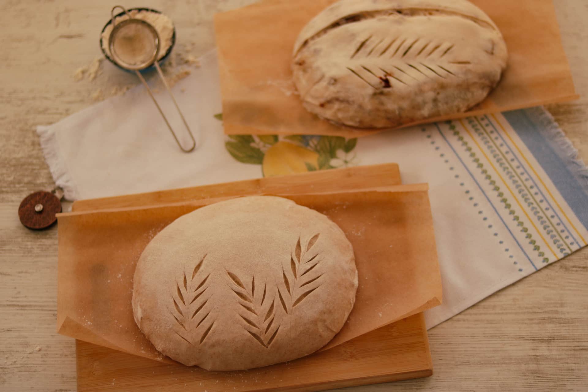 A blade scoring the surface of a shaped loaf of bread dough