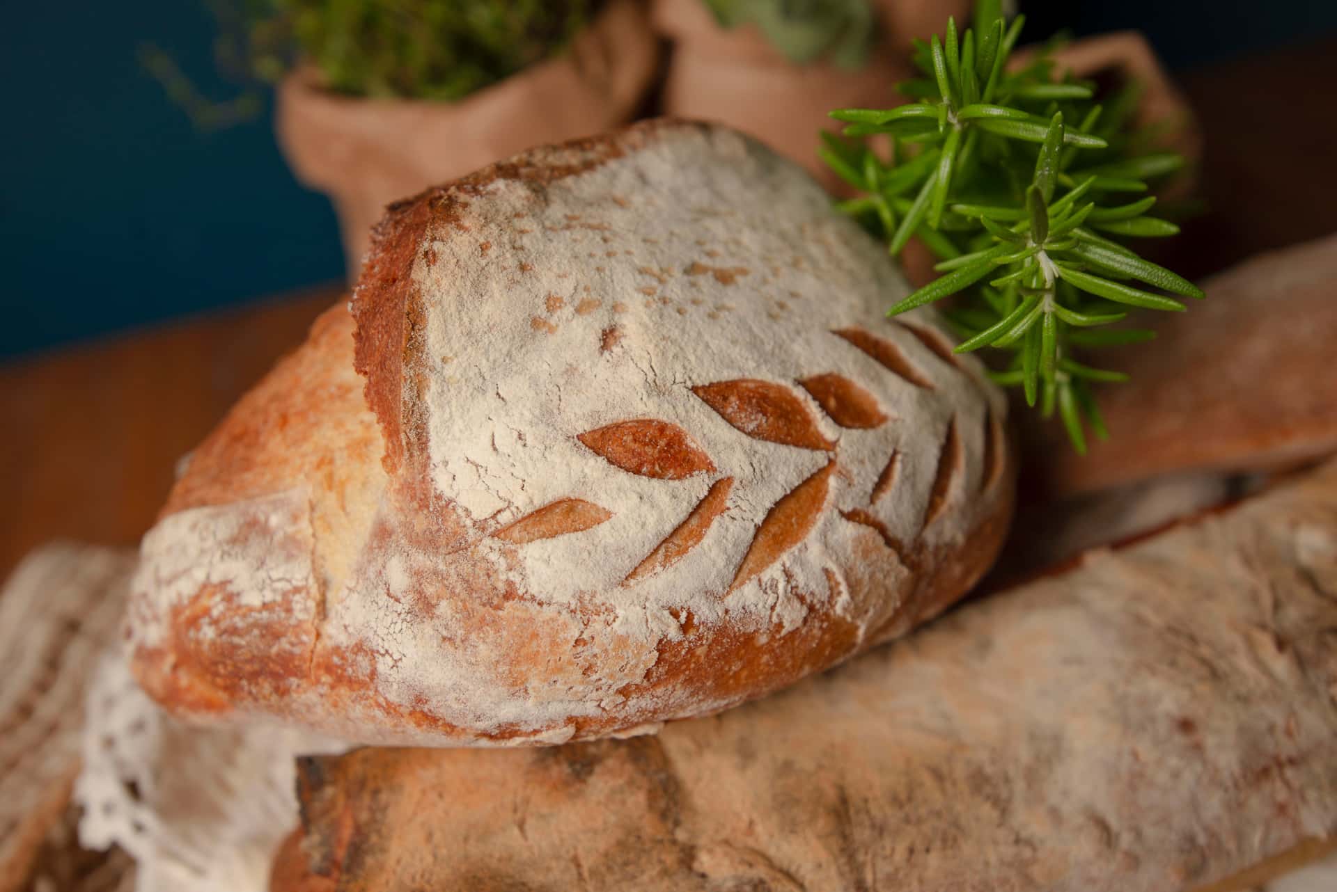 A jar of flat, inactive sourdough starter standing on a kitchen counter